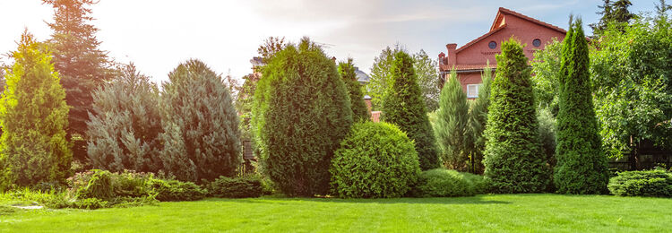 Prefekte Garetnpflege! So könnte Ihr Garten aussehen